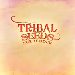 Surrender - Single by Tribal Seeds album reviews, ratings, credits