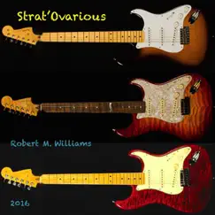 Strat'ovarious by Robert M. Williams album reviews, ratings, credits