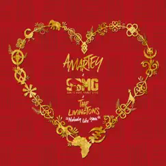 Nobody Like You (feat. SBMG & the Livingtons) - Single by Amartey album reviews, ratings, credits