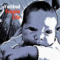 Fragile Life by Yurikud album reviews, ratings, credits