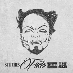 Facts - Single by Stitches album reviews, ratings, credits