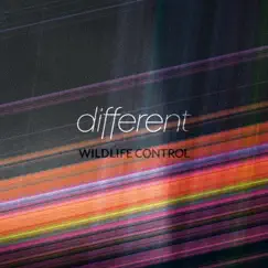 Different - Single by Wildlife Control album reviews, ratings, credits