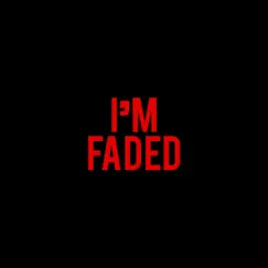 I'm Faded - Single by Irum Pan album reviews, ratings, credits