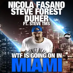 Wtf Is Going On In Miami (Original Mix) (feat. Steve Forest, Duher, Steve Tms) Song Lyrics