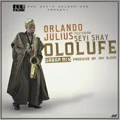 Ololufe (feat. Seyi Shay) - Single by Orlando Julius album reviews, ratings, credits