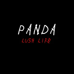 Panda Song Lyrics