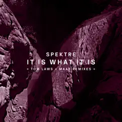 It Is What It Is by Spektre album reviews, ratings, credits