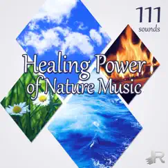 Healing Power of Nature Music: 111 Relaxing Sounds for Equilibrium, Reiki, Zen Yoga, Meditation, Inner Peace, Harmony by Spiritual Power Control album reviews, ratings, credits