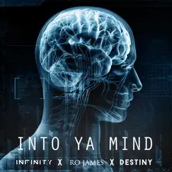 Into Ya Mind (feat. Ro James & Destiny) - Single by Infinity album reviews, ratings, credits