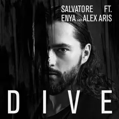 Dive (feat. Enya & Alex Aris) Song Lyrics