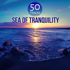 Sea of Tranquility - Music for Deep Sleep Meditation, Healing Sounds for Trouble Sleeping by Calm Music Zone album reviews, ratings, credits