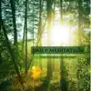 Daily Meditation - The New Age Collection of Relaxation Music for Deep Zen Meditations and Yoga Breathing Techniques album lyrics, reviews, download