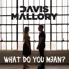 What Do You Mean? - Single by Davis Mallory album reviews, ratings, credits