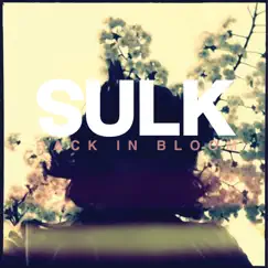 Back In Bloom - Single by SULK album reviews, ratings, credits