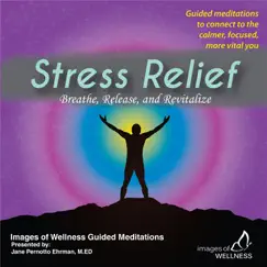 Stress Relief: Breathe, Release, And Revitalize by Jane Pernotto Ehrman album reviews, ratings, credits