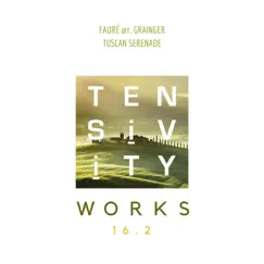 Tuscan Serenade - Single by Tensivity album reviews, ratings, credits