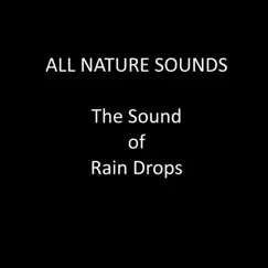 Amazing Rain Gently Falling Song Lyrics