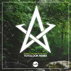 Welcome To the Jungle (Totolook Remix) Song Lyrics