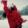 Red Dress (feat. Chantal Kreviazuk) - Single album lyrics, reviews, download