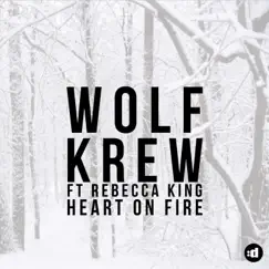 Heart on Fire (feat. Rebecca King) [Radio Edit] Song Lyrics