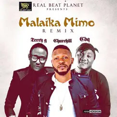 Malaika Mimo Remix (feat. Terry G & CDQ) [Automator Remix] Song Lyrics