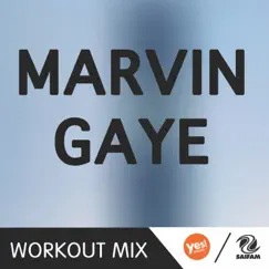 Marvin Gaye (B Workout Mix) - Single by Plaza People album reviews, ratings, credits