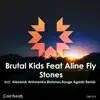 Stones (feat. Aline Fly) - EP album lyrics, reviews, download