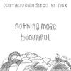Nothing More Beautiful (feat. NAK) - Single album lyrics, reviews, download