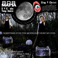 Sometimes Even the Moonlight Hurt My Eyes by Slug Christ album reviews, ratings, credits