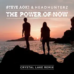 The Power of Now (Crystal Lake Remix) - Single by Steve Aoki & Headhunterz album reviews, ratings, credits