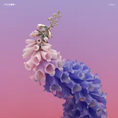 Skin LP Preview - Single by Flume album reviews, ratings, credits