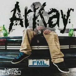 FML - Single by ArKay album reviews, ratings, credits