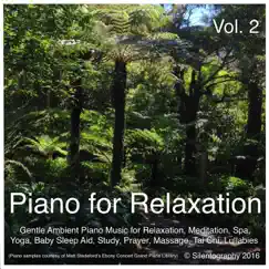 Piano for Relaxation, Vol. 2 (Gentle Ambient Piano Music for Relaxation, Meditation, Spa, Yoga, Baby Sleep Aid, Study, Prayer, Massage, Tai Chi, Lullabies) by Silentography album reviews, ratings, credits