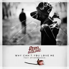 Why Can't You Love Me (feat. Spawnbreezie) - Single by Rebel Souljahz album reviews, ratings, credits