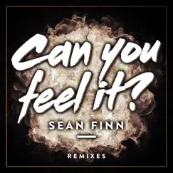 Can You Feel It (Remixes) by Sean Finn album reviews, ratings, credits