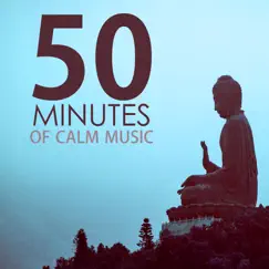 50 Minutes of Calm Music - Relaxing Tracks for a Quick Meditation Session by Calm Music Ensemble album reviews, ratings, credits