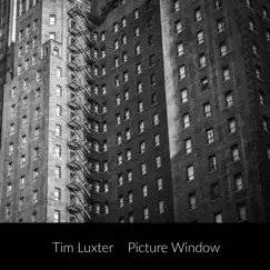 Picture Window (single) by Tim Luxter album reviews, ratings, credits