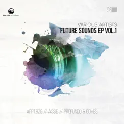 Future Sounds EP, Vol. 1 - Single by Profundo & Gomes, Appt.829 & Assie album reviews, ratings, credits