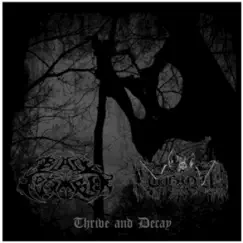 Thrive and Decay - Single by Thou & Black September album reviews, ratings, credits