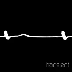 Transient by Transient album reviews, ratings, credits