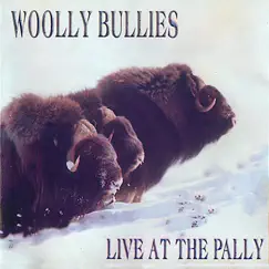 Woolly Bullies Live at the Pally by Steve Payne album reviews, ratings, credits