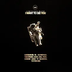 I Want To See You (Textere Oris Remix) Song Lyrics