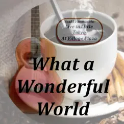 What a Wonderful World (Live) - Single by Yoshi Yamamoto album reviews, ratings, credits