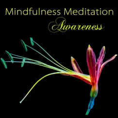 Mindfulness Meditation Awareness - Peaceful Music for Deep Zen Meditation & Well Being by Meditation Masters & Asian Zen Meditation album reviews, ratings, credits