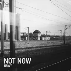 Not Now by Nrwy album reviews, ratings, credits