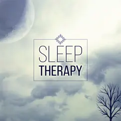 Sleep Therapy – New Age Music, Claming Sounds for Deep Sleep, Relax Time by Trouble Sleeping Music Universe album reviews, ratings, credits