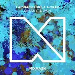 Shake It Down - EP by Laidback Luke & A-Trak album reviews, ratings, credits