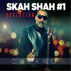 Evolution by Skah Shah #1 album reviews, ratings, credits