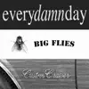 Big Flies/custom Cruiser (Deluxe Digital Edition) album lyrics, reviews, download