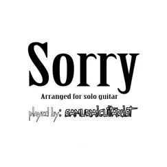 Sorry - Single by Samuraiguitarist album reviews, ratings, credits